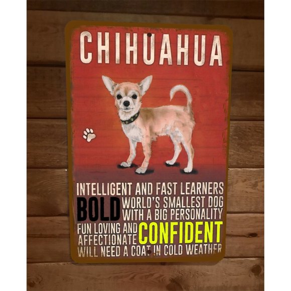 Chihuahua Intelligent Fast LEarned Bold Confident 8x12 Metal Wall Sign - Picture 1 of 1